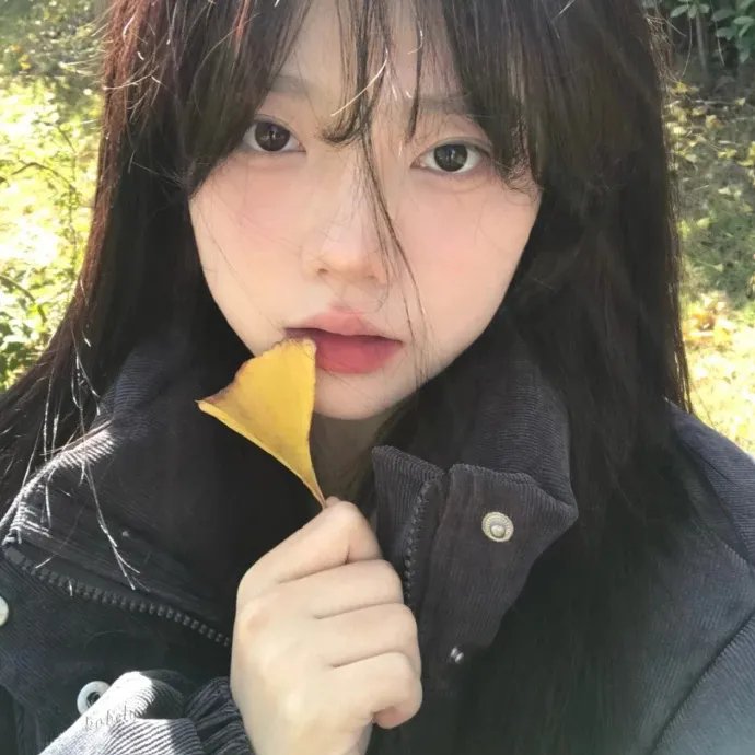 潘蒂姐妹 封面