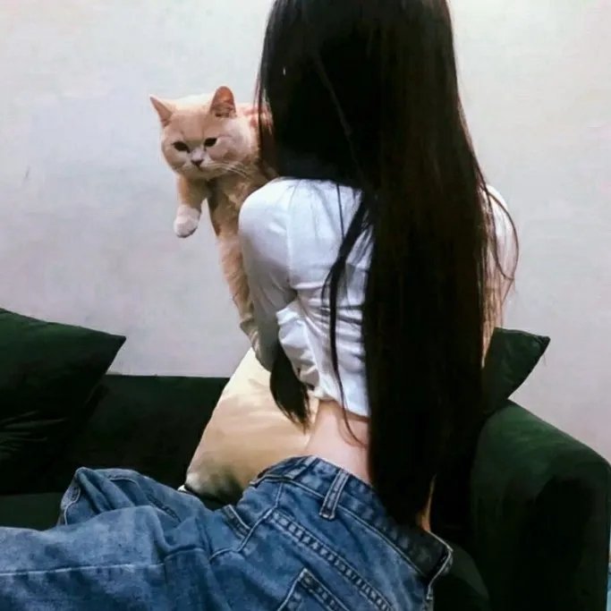 借脑还魂 封面